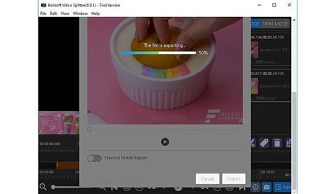 Boilsoft Video Splitter 8.3.3